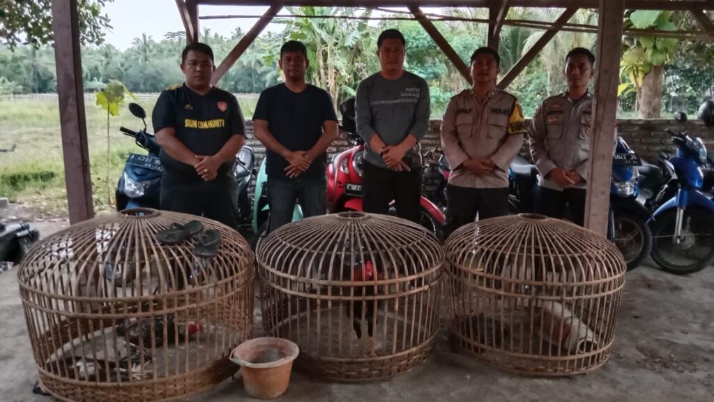 WhatsApp Image 2023 12 24 at 19.47.58