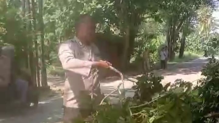 Membahayakan Pengguna Jalan Personil Polsek Carita bersama Warga Bantu Tebang Pohon 8 WhatsApp Image 2024 06 04 at 22.29.25