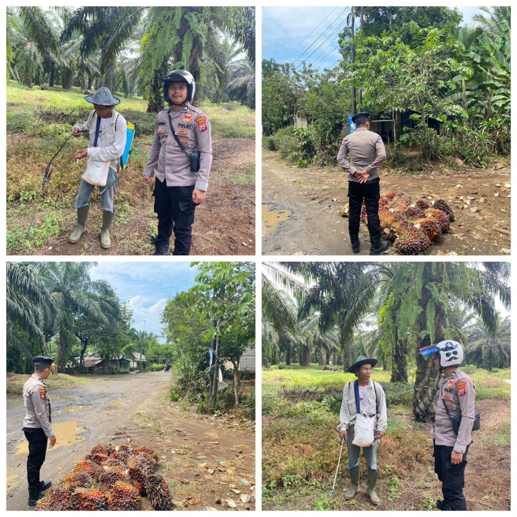 Sat Samapta Polres Pandeglang Gelar Pengamanan PT Perkebunan Nusantara III KSO Sanghiang Damar dengan Patroli Dialogis 7 WhatsApp Image 2024 09 12 at 17.51.28