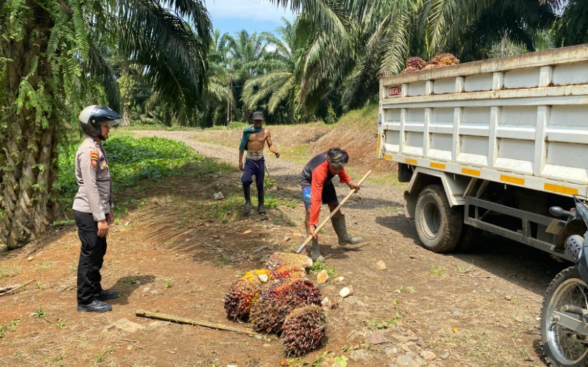Sat Samapta Polres Pandeglang Gelar Pengamanan di PT Perkebunan Nusantara III KSO Sanghiang Damar 9 WhatsApp Image 2024 09 15 at 11.01.29