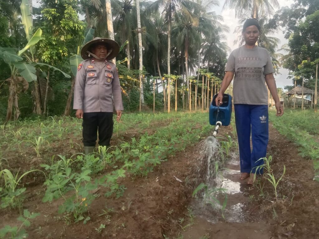 Bhabinkamtibmas Polsek Patia Sambangi Petani Cibungur, Dorong Ketahanan Pangan 7 WhatsApp Image 2025 06 03 at 17.06.06