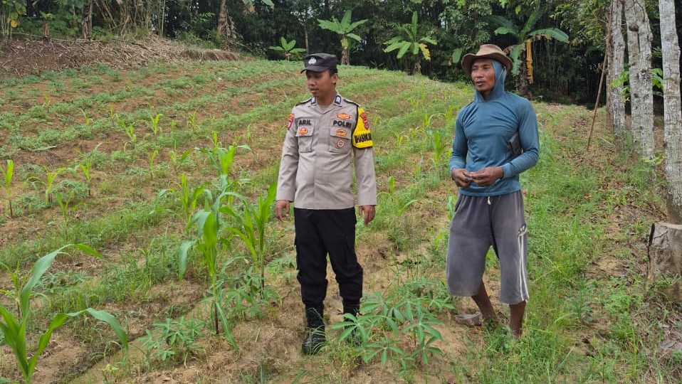Dukung Ketahanan Pangan Nasional, Polsek Patia Polres Pandeglang Lakukan Pengecekan Tanaman Jagung di Kampung Pal Dua 6 WhatsApp Image 2025 07 26 at 13.16.25