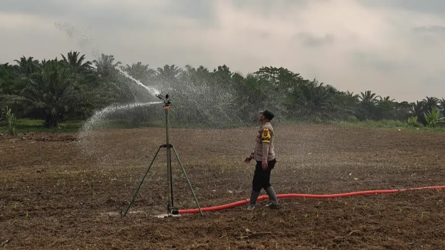 Dukung Ketahanan Pangan, Polsek Munjul Monitoring Pertumbuhan Jagung dan Sistem Pengairan 2 MConverter.eu WhatsApp Image 2026 06 16 at 16.58.40