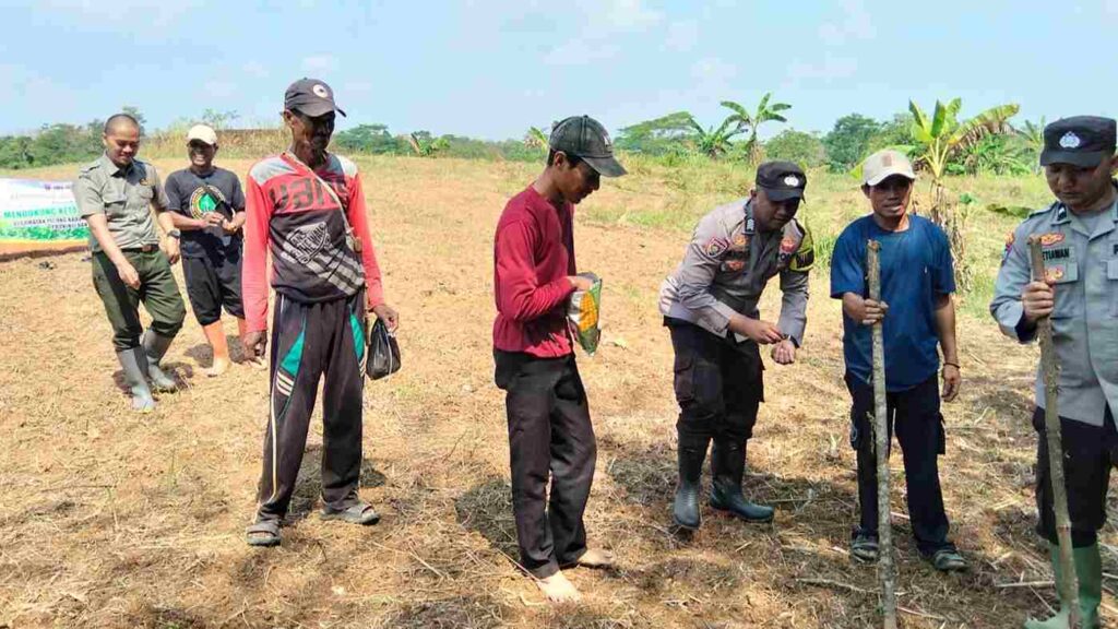 Perkuat Sinergi dengan Petani, Polsek Picung Gelar Penanaman Benih Jagung di Picung 6 WhatsApp Image 2026 06 22 at 13.50.52 11zon