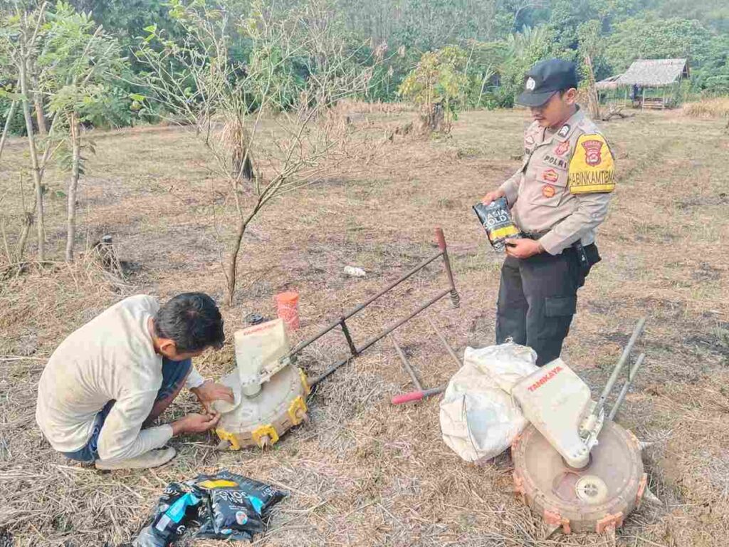 Perkuat Swasembada Pangan, Gapoktan Sinar Tani 1 Bersama Polsek Cikeusik Tanam Jagung Hibrida 5 Hektar 4 WhatsApp Image 2026 06 24 at 17.37.57 11zon