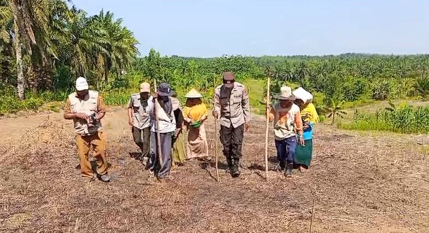 Polsek Cikeusik Hadir untuk Petani, Penanaman Jagung Hibrida Program CPCL 2026 Dorong Produktivitas Pertanian 8 jagung